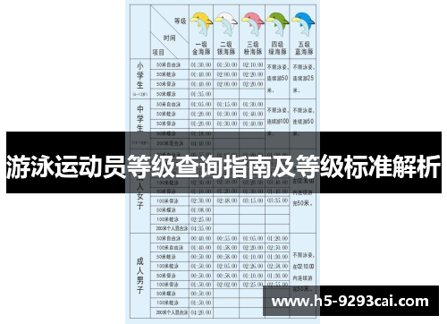 游泳运动员等级查询指南及等级标准解析